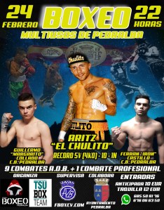 cartel-pedralba-2017-2