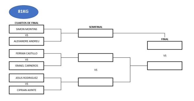 imagen-cuadro-81kg-masc-elite